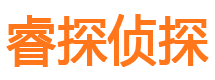 渝中市侦探公司